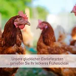 Lägenhet Designerwohnungen 