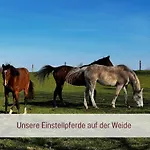 Designerwohnungen 