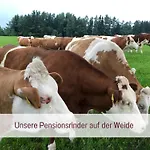 Designerwohnungen 