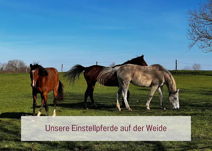 Designerwohnungen 