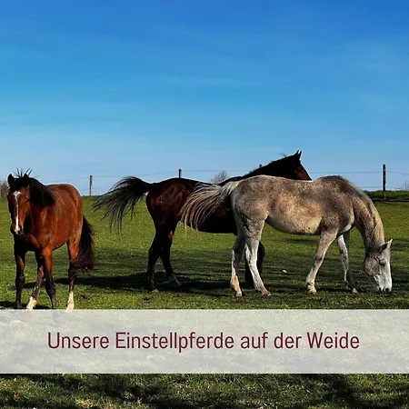 Designerwohnungen 